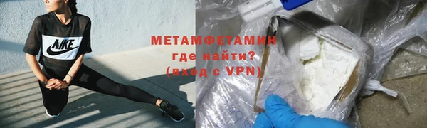 молекула духа Богданович