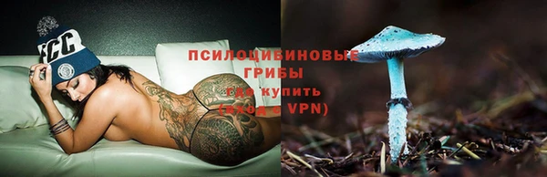 молекула духа Богданович