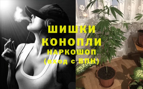 каннабис Богородицк