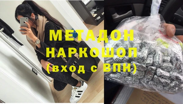 молекула духа Богданович
