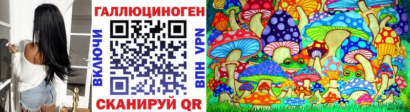 Галлюциногенные грибы GOLDEN TEACHER  Купить  Судак 